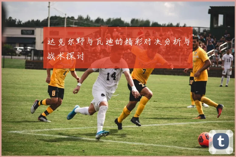达克尔野与瓦迪的精彩对决分析与战术探讨