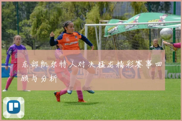 东部凯尔特人对决猛龙精彩赛事回顾与分析