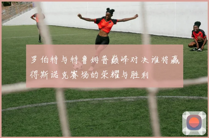 罗伯特与特鲁姆普巅峰对决谁将赢得斯诺克赛场的荣耀与胜利